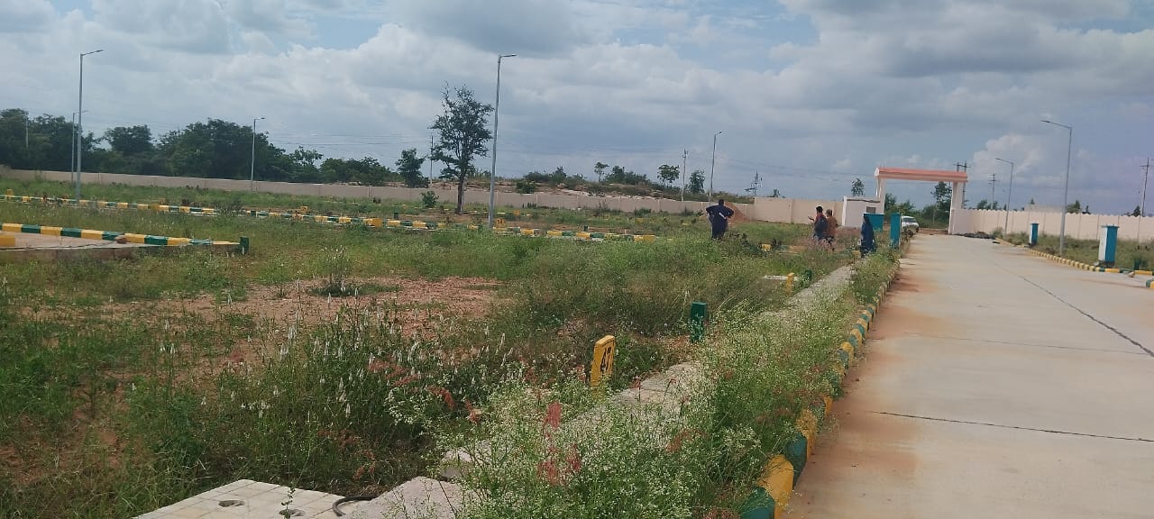 whatsapp image 2026 01 02 at 11.16.42 am