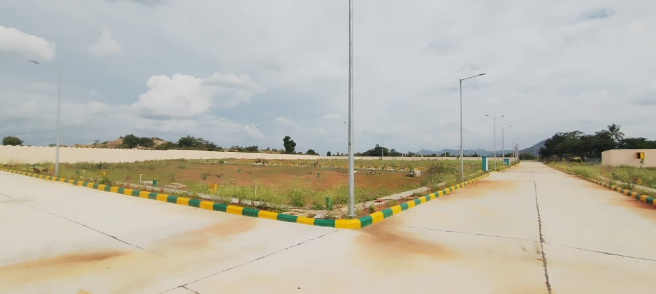 whatsapp image 2026 01 02 at 11.16.45 am (2)