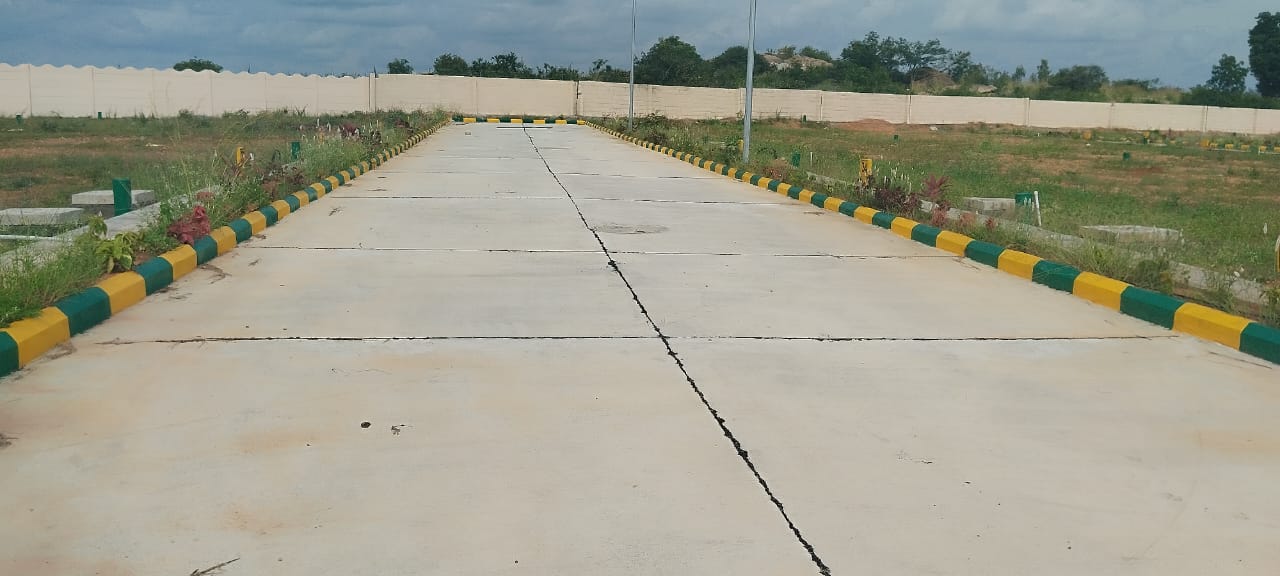 whatsapp image 2026 01 02 at 11.16.45 am